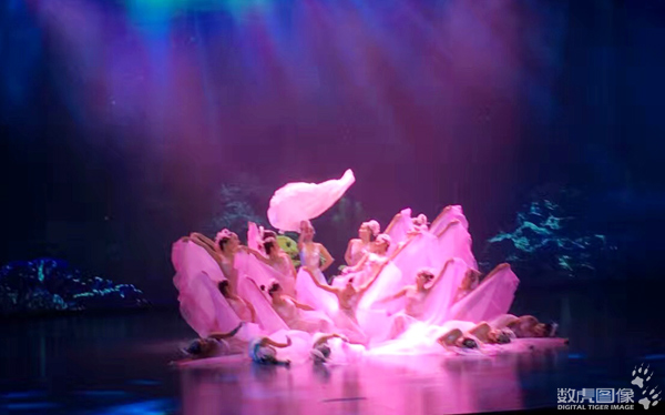 大型梦幻舞台秀《桃花水母》 舞美实景演出 数虎图像