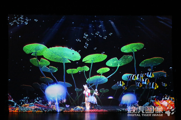 纱幕投影 加拿大多媒体儿童音乐剧《爱丽丝梦游仙境》中文版 数虎图像